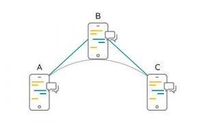 What is a Node_COCO Architecture_P2P Decentralized networks